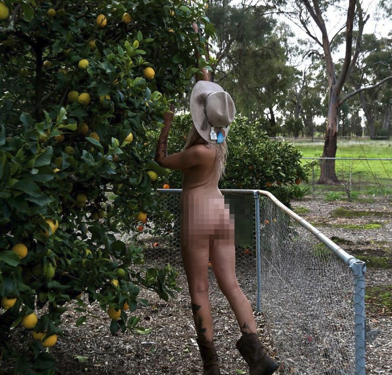 Αυστραλοί αγρότες ποζάρουν γυμνοί για να γιορτάσουν τη ζωή στην ύπαιθρο –Για καλό σκοπό [εικόνες] | iefimerida.gr 0