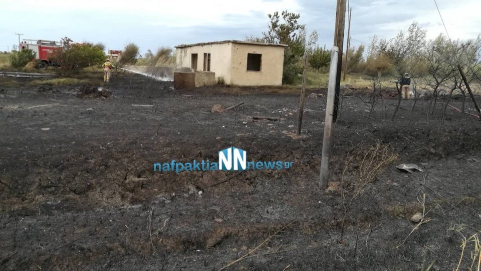 Πυρκαγιά στο Κρυονέρι Ναυπακτίας -Κοντά σε κατοικημένη περιοχή [εικόνες & βίντεο] | iefimerida.gr 1