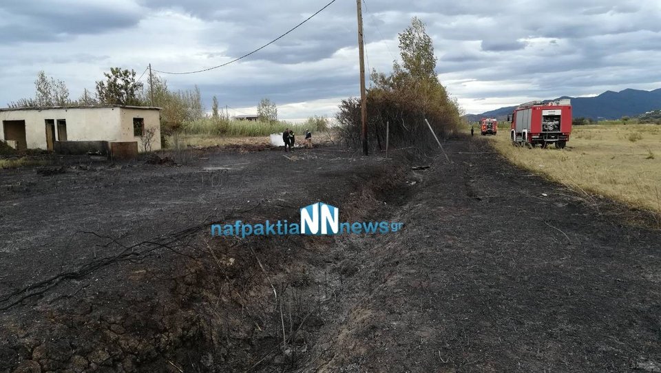 Πυρκαγιά στο Κρυονέρι Ναυπακτίας -Κοντά σε κατοικημένη περιοχή [εικόνες & βίντεο] | iefimerida.gr 0