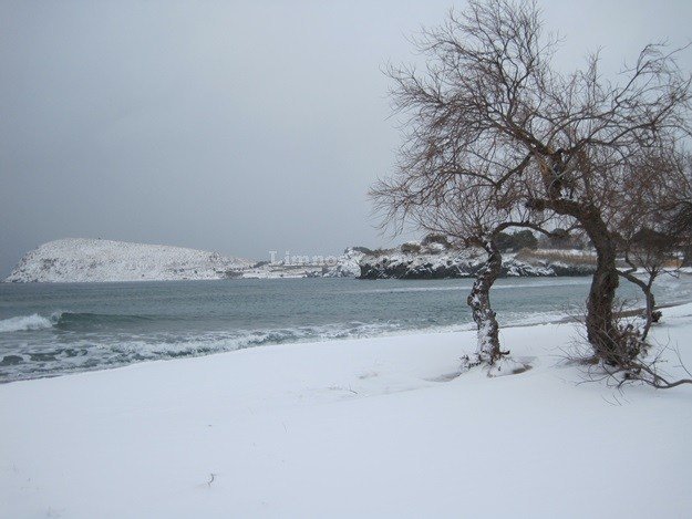 Χιόνι ως τη θάλασσα στην κυριολεξία -Εκπληκτικές εικόνες από τη Λήμνο [εικόνες] | iefimerida.gr 4