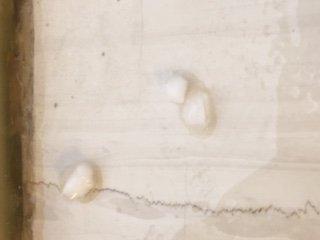 Χαλάζι σε μέγεθος ρεβιθιού έπληξε την Αθήνα - Κυκλοφοριακά προβλήματα [εικόνες & βίντεο] | iefimerida.gr 0