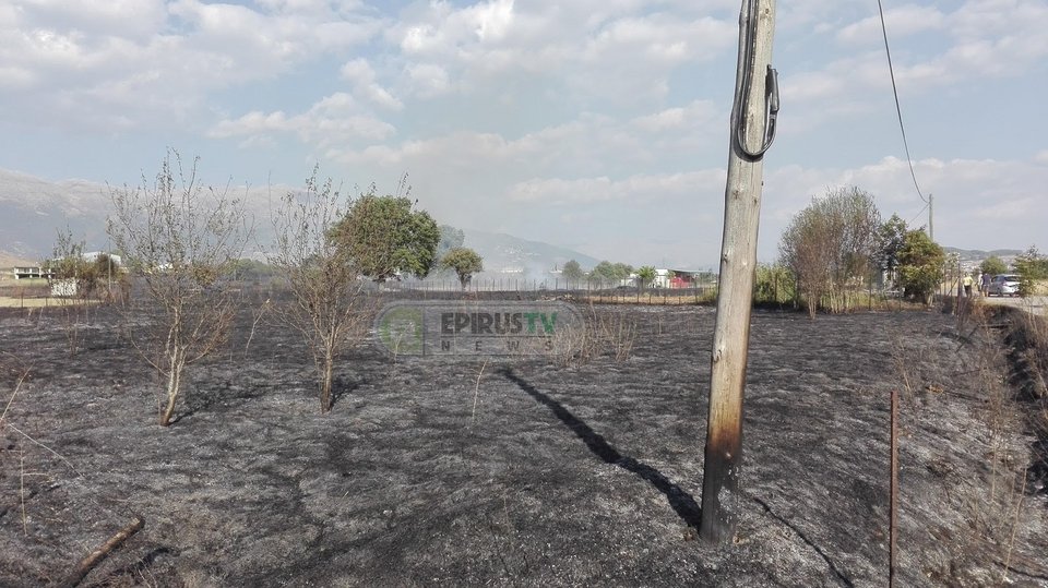 Πυρκαγιά κοντά στο χωριό Βουνοπλαγιά Ιωαννίνων [εικόνες] | iefimerida.gr 1