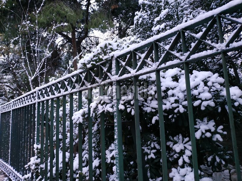 Στα λευκά το κέντρο της Αθήνας - Μοναδικό σκηνικό [εικόνες] | iefimerida.gr 9