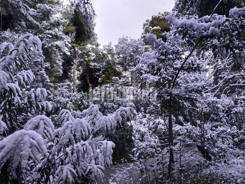 Στα λευκά το κέντρο της Αθήνας - Μοναδικό σκηνικό [εικόνες] | iefimerida.gr 10
