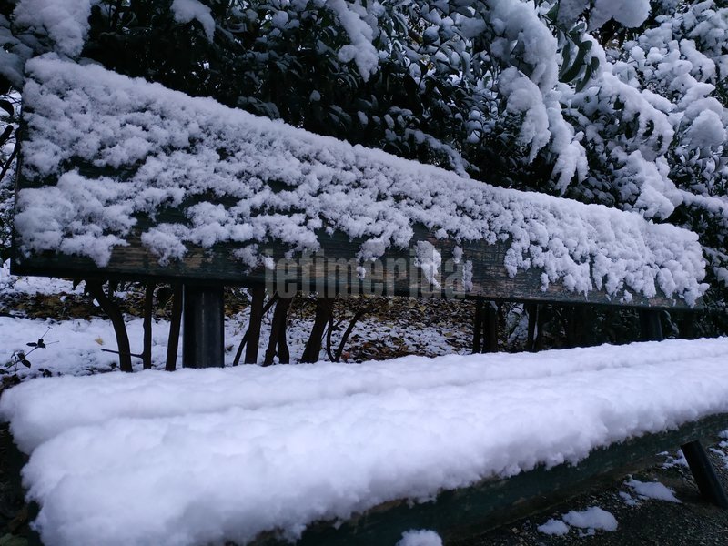 Παγωμένα τα παγκάκια στο Αλσος Παγκρατίου / Φωτογραφία: iefimerida