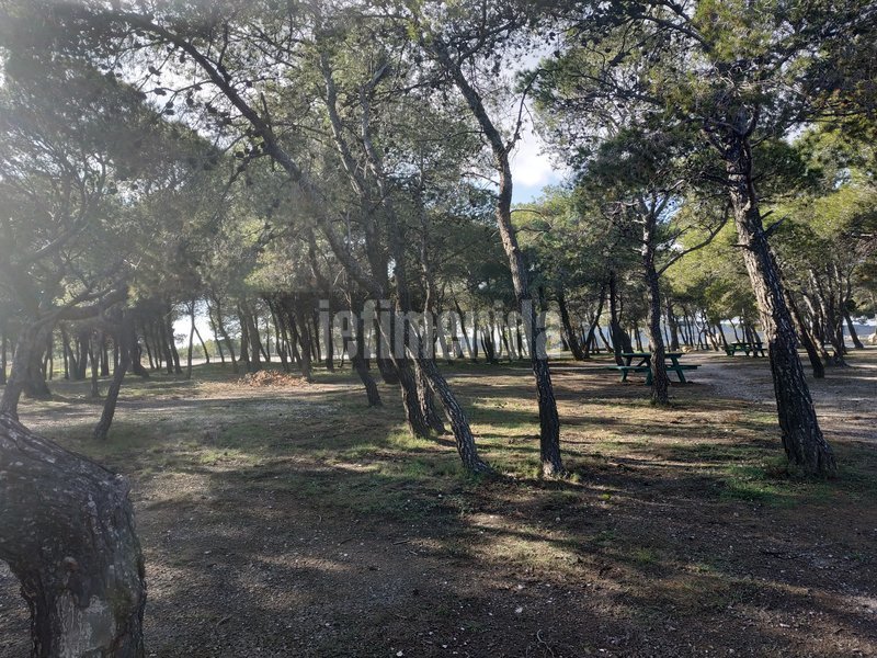 Το ερημικό σημείο όπου βρέθηκε ο σκύλος / Φωτογραφία: iefimerida