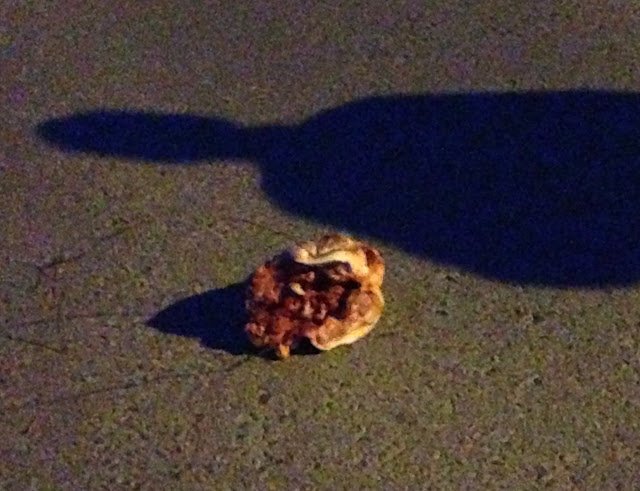 Βέροια: Πήγαν να λιντσάρουν βουλευτή του ΣΥΡΙΖΑ - Λόγω των προσφύγων [εικόνες] | iefimerida.gr 3