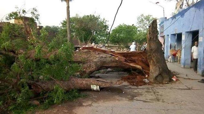 Ινδία: Τουλάχιστον 77 νεκροί από ισχυρές αμμοθύελλες [βίντεο] | iefimerida.gr 3