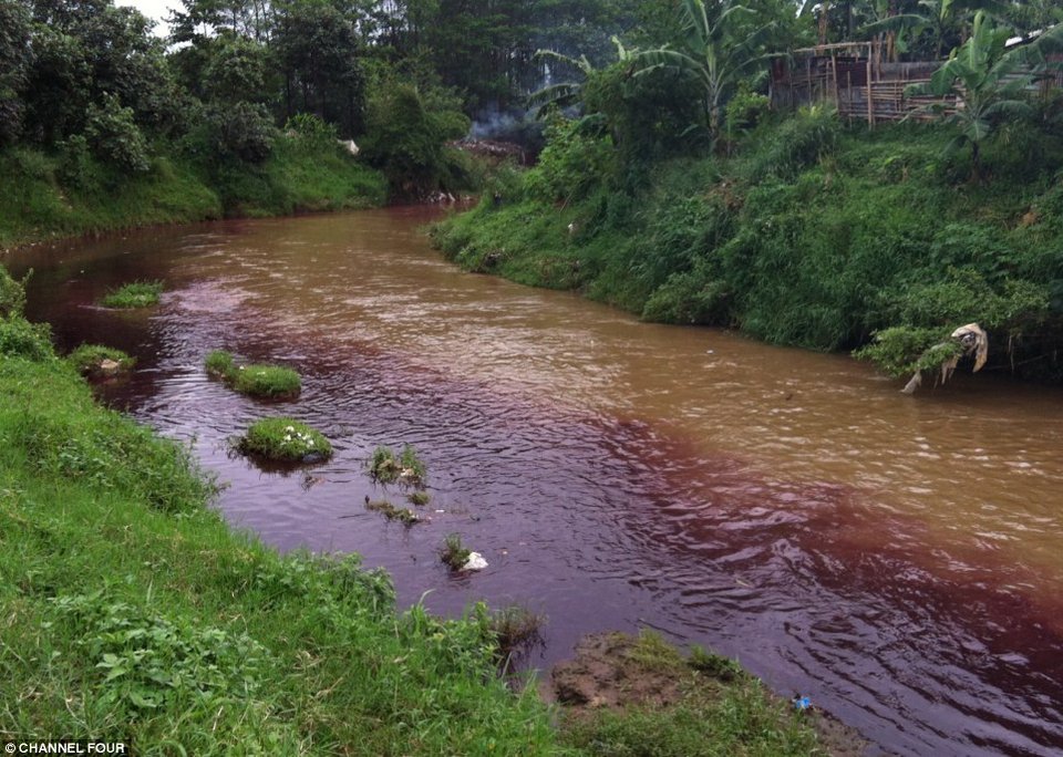 Το ποτάμι που αντί για νερό έχει σκουπίδια -Πώς ο πρώην παράδεισος της Ινδονησίας μετατράπηκε σε απέραντη χωματερή [εικόνες]  | iefimerida.gr 5
