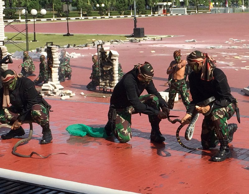 Ινδονησία: Οι στρατιώτες ήπιαν αίμα φιδιού προς τιμήν του Μάτις [εικόνες] | iefimerida.gr 3