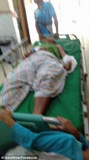 Ινδονησία: 37χρονος πάλεψε με πύθωνα επτά μέτρων  και κατάφερε να τον σκοτώσει! [εικόνες]  | iefimerida.gr 0