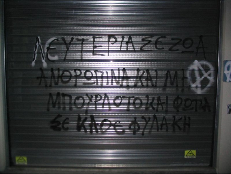 Aπό την εξόρμηση αντιεξουσιαστών σε pet shops / Φωτογραφία: indymedia