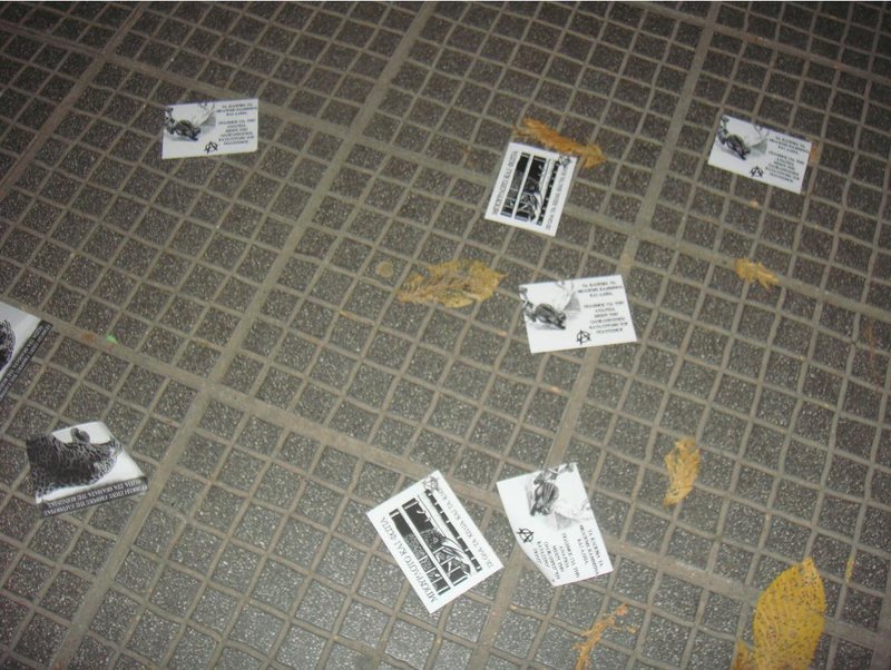 Θεσσαλονίκη: Aντιεξουσιαστές βανδάλισαν Pet Shops ως αντίποινα για τη θανάτωση των τζάγκουαρ στο Αττικό Ζωολογικό Πάρκο [εικόνες] | iefimerida.gr 5