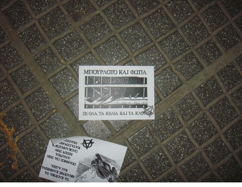 Θεσσαλονίκη: Aντιεξουσιαστές βανδάλισαν Pet Shops ως αντίποινα για τη θανάτωση των τζάγκουαρ στο Αττικό Ζωολογικό Πάρκο [εικόνες] | iefimerida.gr 6