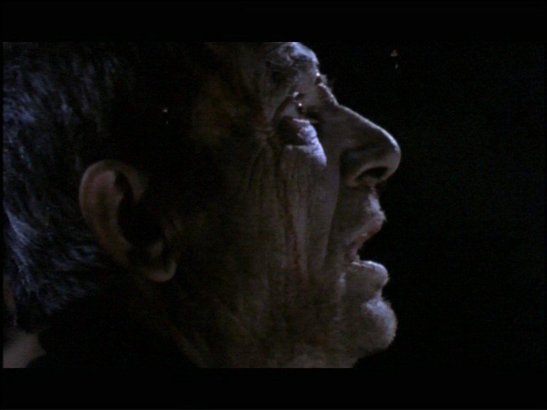 Αφιέρωμα στον Αλέξη Δαμιανό στην Αλκυονίδα-Οι ταινίες, το θέατρο, η ποίηση, τα τραγούδια του | iefimerida.gr 1