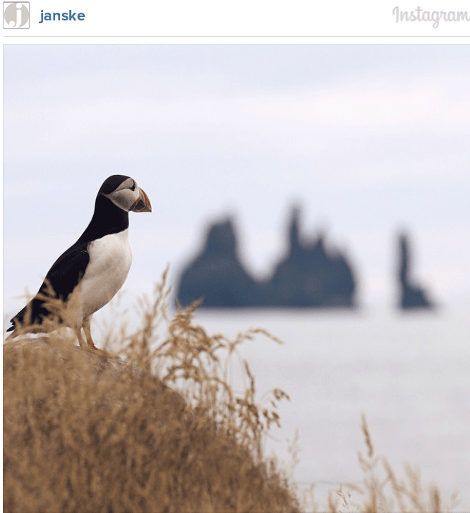 Οι 27 που ανεβάζουν τις ωραιότερες φωτογραφίες στο Ιnstagram -Παραληρούν όλοι μαζί τους [εικόνες & λίστα] | iefimerida.gr 5