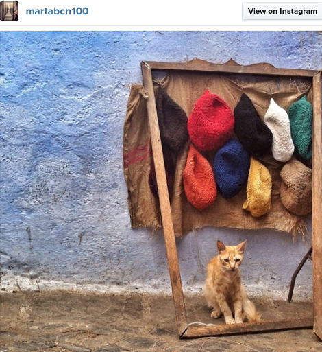 Οι 27 που ανεβάζουν τις ωραιότερες φωτογραφίες στο Ιnstagram -Παραληρούν όλοι μαζί τους [εικόνες & λίστα] | iefimerida.gr 7