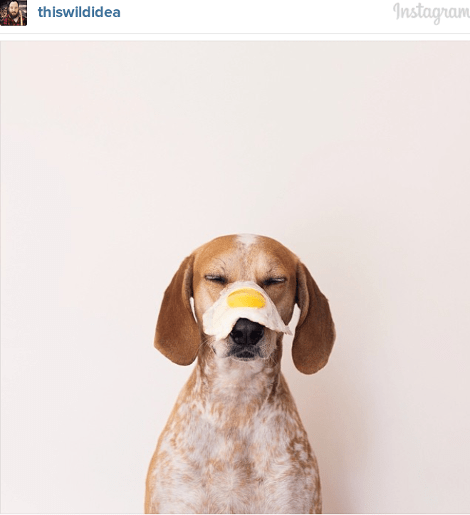 Οι 27 που ανεβάζουν τις ωραιότερες φωτογραφίες στο Ιnstagram -Παραληρούν όλοι μαζί τους [εικόνες & λίστα] | iefimerida.gr 13