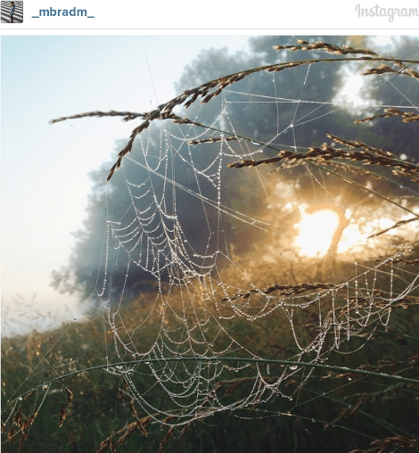 Οι 27 που ανεβάζουν τις ωραιότερες φωτογραφίες στο Ιnstagram -Παραληρούν όλοι μαζί τους [εικόνες & λίστα] | iefimerida.gr 23