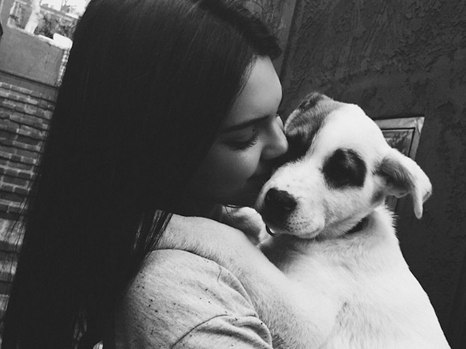 Αυτοί είναι οι σταρ που έχουν «λιώσει» το Instagram -Μία οικογένεια έχει κυριαρχήσει [εικόνες] | iefimerida.gr 6