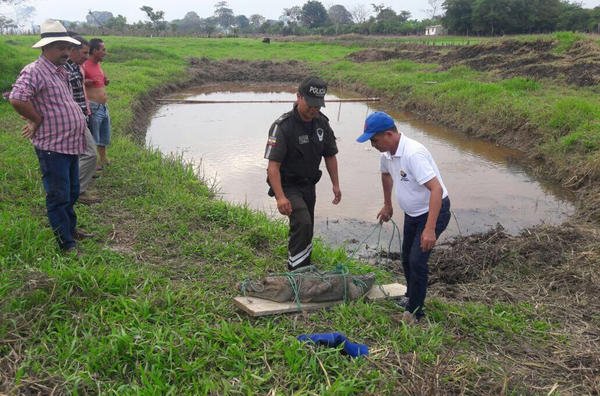Τεράστια επιχείρηση της Interpol: Κατασχέθηκαν πύθωνες, παπαγαλάκια, κροκόδειλος, μέχρι και βαλσαμωμένο λιοντάρι [εικόνες] | iefimerida.gr 0