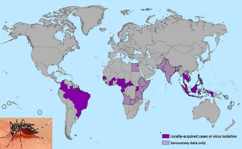 Στην Ευρώπη ο ιός Ζίκα -Ταξιδιωτικές οδηγίες από ΚΕΕΛΠΝΟ [λίστα] | iefimerida.gr 0
