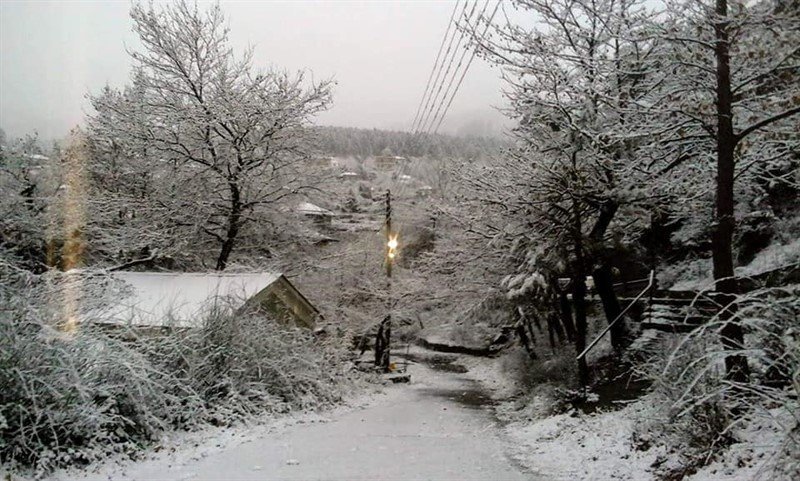 Η μισή Ελλάδα στα λευκά -Εκπληκτικές εικόνες, χιόνι μέχρι τη θάλασσα [εικόνες & βίντεο] | iefimerida.gr 1