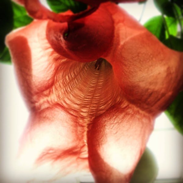 Δείτε τις 5 καλύτερες φωτογραφίες που τραβήχτηκαν με iphone [εικόνες] | iefimerida.gr 3