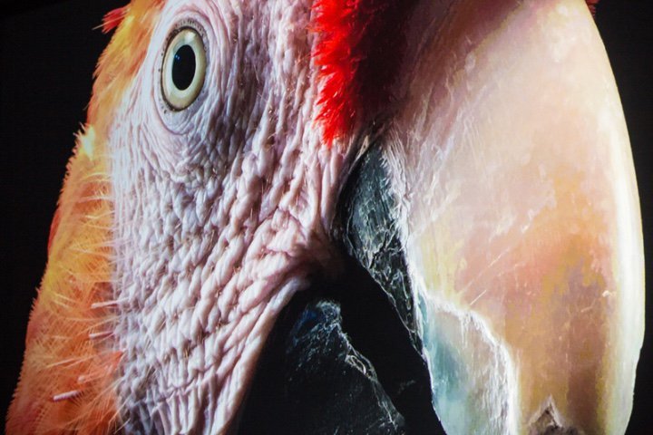 Αυτά είναι τα νέα iPhone 6s και iPhone 6s Plus [εικόνες] | iefimerida.gr 9