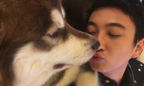 Γιος Κινέζου δισεκατομμυριούχου αγόρασε στον σκύλο του 8 συσκευές iPhone 7 [εικόνες] | iefimerida.gr 1