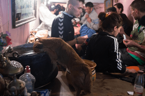 Οι άθλιοι της Ευρώπης: Αρρωστοι και άποροι έχουν κάνει σπίτι τους το δίκτυο των υπονόμων -Μια πόλη κάτω από τους δρόμους [εικόνες] | iefimerida.gr 14