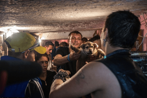 Οι άθλιοι της Ευρώπης: Αρρωστοι και άποροι έχουν κάνει σπίτι τους το δίκτυο των υπονόμων -Μια πόλη κάτω από τους δρόμους [εικόνες] | iefimerida.gr 8