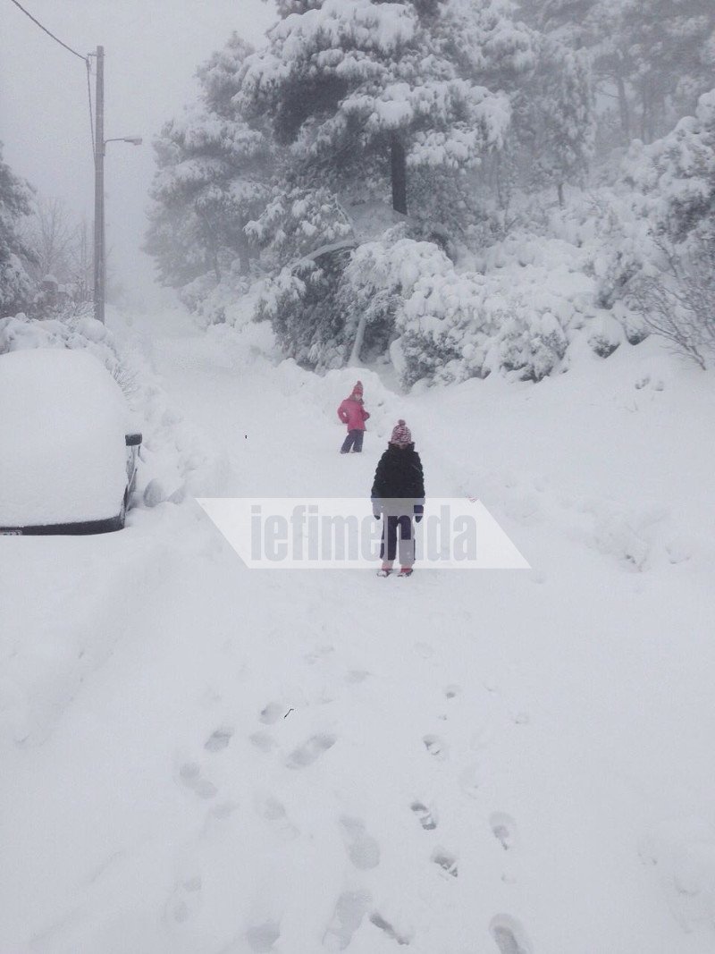 Το έστρωσε για τα καλά στην Ιπποκράτειο Πολιτεία! [εικόνες] | iefimerida.gr 0