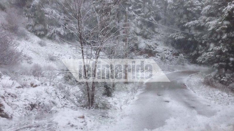 Το έστρωσε για τα καλά στην Ιπποκράτειο Πολιτεία! [εικόνες] | iefimerida.gr 2