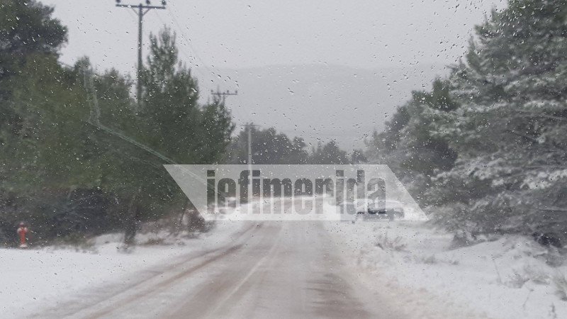 Το έστρωσε για τα καλά στην Ιπποκράτειο Πολιτεία! [εικόνες] | iefimerida.gr 6
