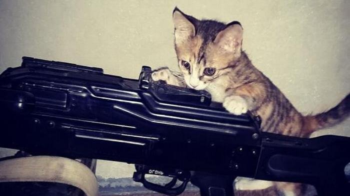 Γιατί το ISIS αγαπάει το διαδίκτυο; 4 λόγοι που τα social media γέμισαν τζιχαντιστές [εικόνες&βίντεο] | iefimerida.gr 3