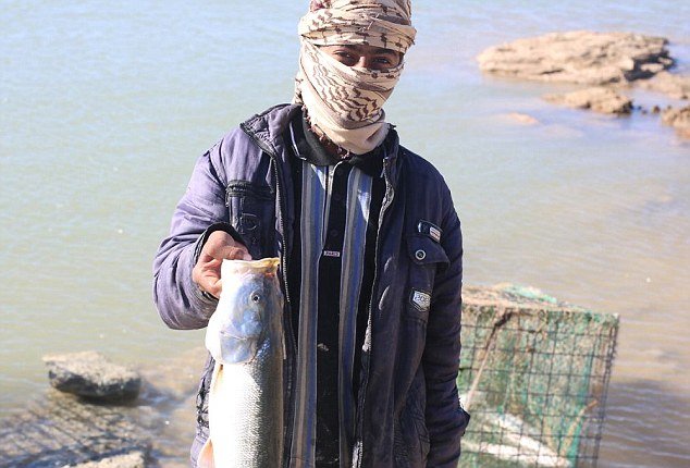 Οι τζιχαντιστές αποκαλύπτουν τη ζωή τους -Τι τρώνε, πώς ζουν καθημερινά [εικόνες] | iefimerida.gr 0