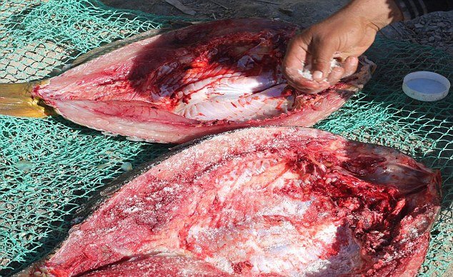 Οι τζιχαντιστές αποκαλύπτουν τη ζωή τους -Τι τρώνε, πώς ζουν καθημερινά [εικόνες] | iefimerida.gr 2