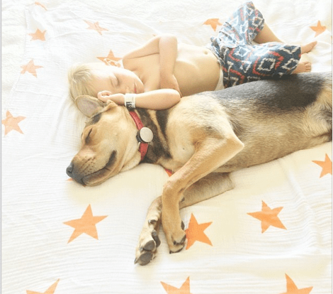 Η ιστορία αγάπης και... ύπνου μέρος 3ο -Το μωρό και ο σκύλος που «έλιωσαν» το Ιντερνετ μεγάλωσαν και κοιμούνται πλέον ο ένας πάνω στον άλλον [εικόνες] | iefimerida.gr 0