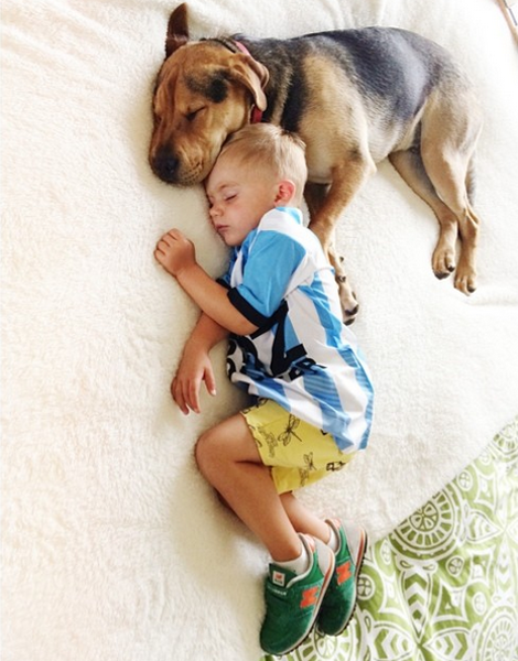 Η ιστορία αγάπης και... ύπνου μέρος 3ο -Το μωρό και ο σκύλος που «έλιωσαν» το Ιντερνετ μεγάλωσαν και κοιμούνται πλέον ο ένας πάνω στον άλλον [εικόνες] | iefimerida.gr 1