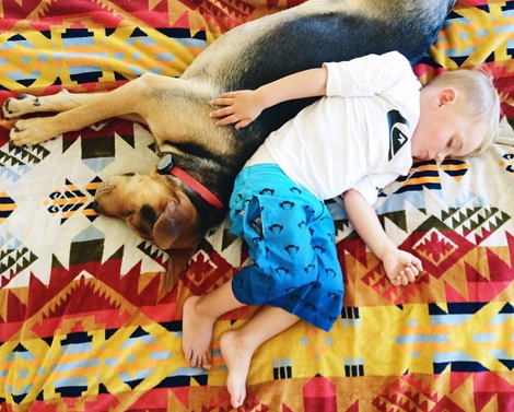 Η ιστορία αγάπης και... ύπνου μέρος 3ο -Το μωρό και ο σκύλος που «έλιωσαν» το Ιντερνετ μεγάλωσαν και κοιμούνται πλέον ο ένας πάνω στον άλλον [εικόνες] | iefimerida.gr 3