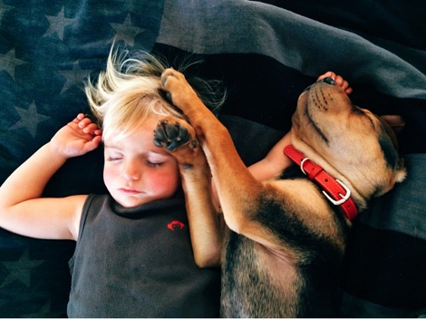 Η ιστορία αγάπης και... ύπνου μέρος 3ο -Το μωρό και ο σκύλος που «έλιωσαν» το Ιντερνετ μεγάλωσαν και κοιμούνται πλέον ο ένας πάνω στον άλλον [εικόνες] | iefimerida.gr 4