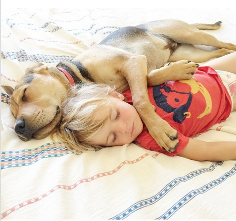 Η ιστορία αγάπης και... ύπνου μέρος 3ο -Το μωρό και ο σκύλος που «έλιωσαν» το Ιντερνετ μεγάλωσαν και κοιμούνται πλέον ο ένας πάνω στον άλλον [εικόνες] | iefimerida.gr 5