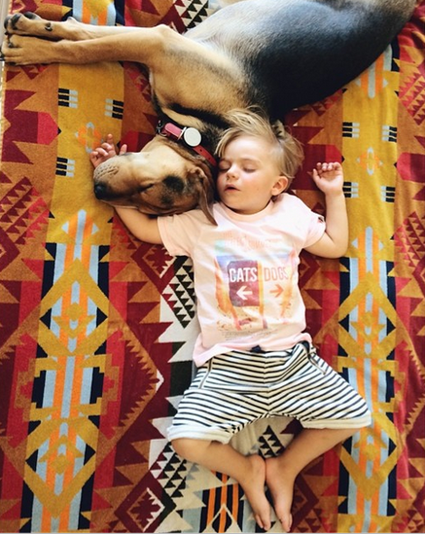 Η ιστορία αγάπης και... ύπνου μέρος 3ο -Το μωρό και ο σκύλος που «έλιωσαν» το Ιντερνετ μεγάλωσαν και κοιμούνται πλέον ο ένας πάνω στον άλλον [εικόνες] | iefimerida.gr 6