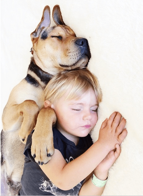 Η ιστορία αγάπης και... ύπνου μέρος 3ο -Το μωρό και ο σκύλος που «έλιωσαν» το Ιντερνετ μεγάλωσαν και κοιμούνται πλέον ο ένας πάνω στον άλλον [εικόνες] | iefimerida.gr 7