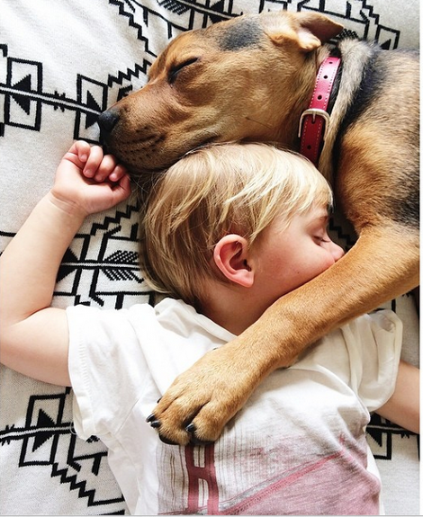 Η ιστορία αγάπης και... ύπνου μέρος 3ο -Το μωρό και ο σκύλος που «έλιωσαν» το Ιντερνετ μεγάλωσαν και κοιμούνται πλέον ο ένας πάνω στον άλλον [εικόνες] | iefimerida.gr 9