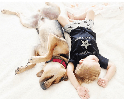 Η ιστορία αγάπης και... ύπνου μέρος 3ο -Το μωρό και ο σκύλος που «έλιωσαν» το Ιντερνετ μεγάλωσαν και κοιμούνται πλέον ο ένας πάνω στον άλλον [εικόνες] | iefimerida.gr 10