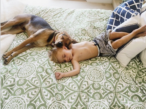 Η ιστορία αγάπης και... ύπνου μέρος 3ο -Το μωρό και ο σκύλος που «έλιωσαν» το Ιντερνετ μεγάλωσαν και κοιμούνται πλέον ο ένας πάνω στον άλλον [εικόνες] | iefimerida.gr 11