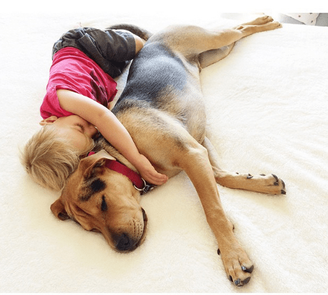 Η ιστορία αγάπης και... ύπνου μέρος 3ο -Το μωρό και ο σκύλος που «έλιωσαν» το Ιντερνετ μεγάλωσαν και κοιμούνται πλέον ο ένας πάνω στον άλλον [εικόνες] | iefimerida.gr 12