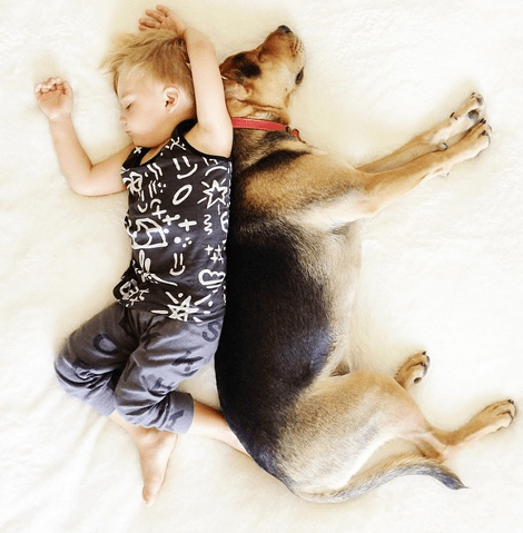 Η ιστορία αγάπης και... ύπνου μέρος 3ο -Το μωρό και ο σκύλος που «έλιωσαν» το Ιντερνετ μεγάλωσαν και κοιμούνται πλέον ο ένας πάνω στον άλλον [εικόνες] | iefimerida.gr 13